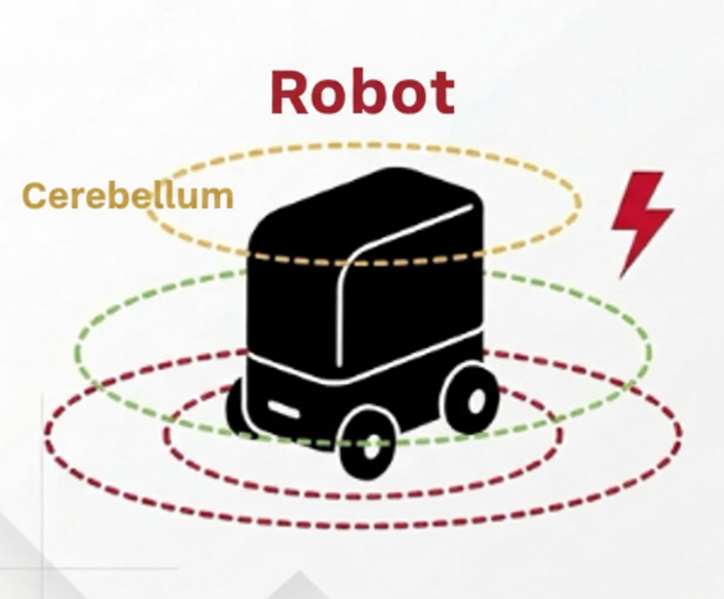 Tiểu não Robot vật lý